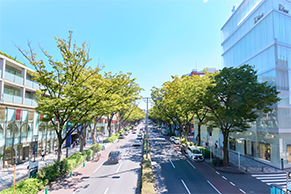 青山・表参道